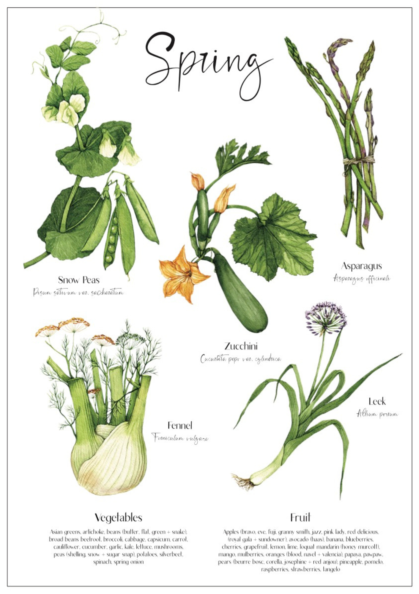 Spring seasonal produce poster