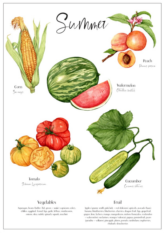 Summer seasonal produce poster