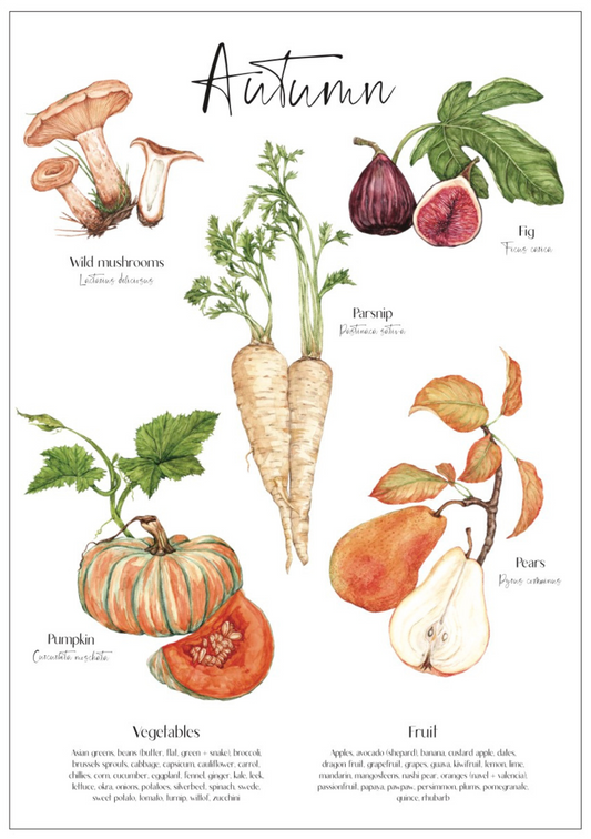 Autumn seasonal produce poster