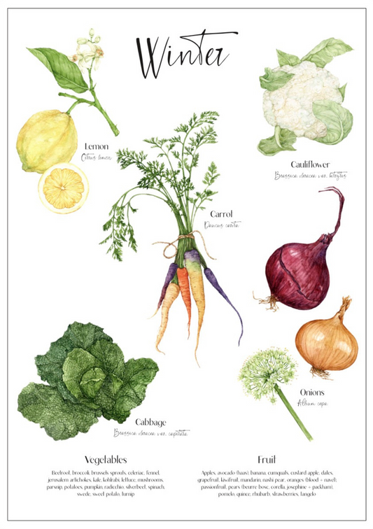 Winter seasonal produce poster
